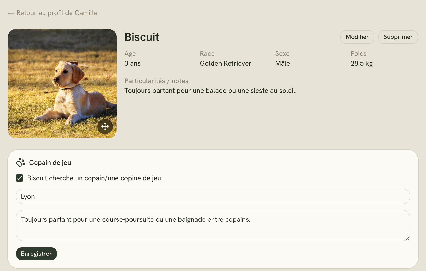 Fiche d'un chien nommé Biscuit : photo, âge, race, sexe, poids, particularités et recherche de copain de jeu.